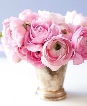 mylusciouslife.com - Luscious pink blooms.jpg